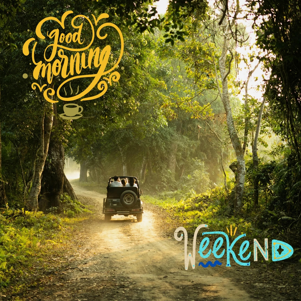 GOOD MORNING Beautiful good morning weekend image with people enjoying jeep ride in the green forest road