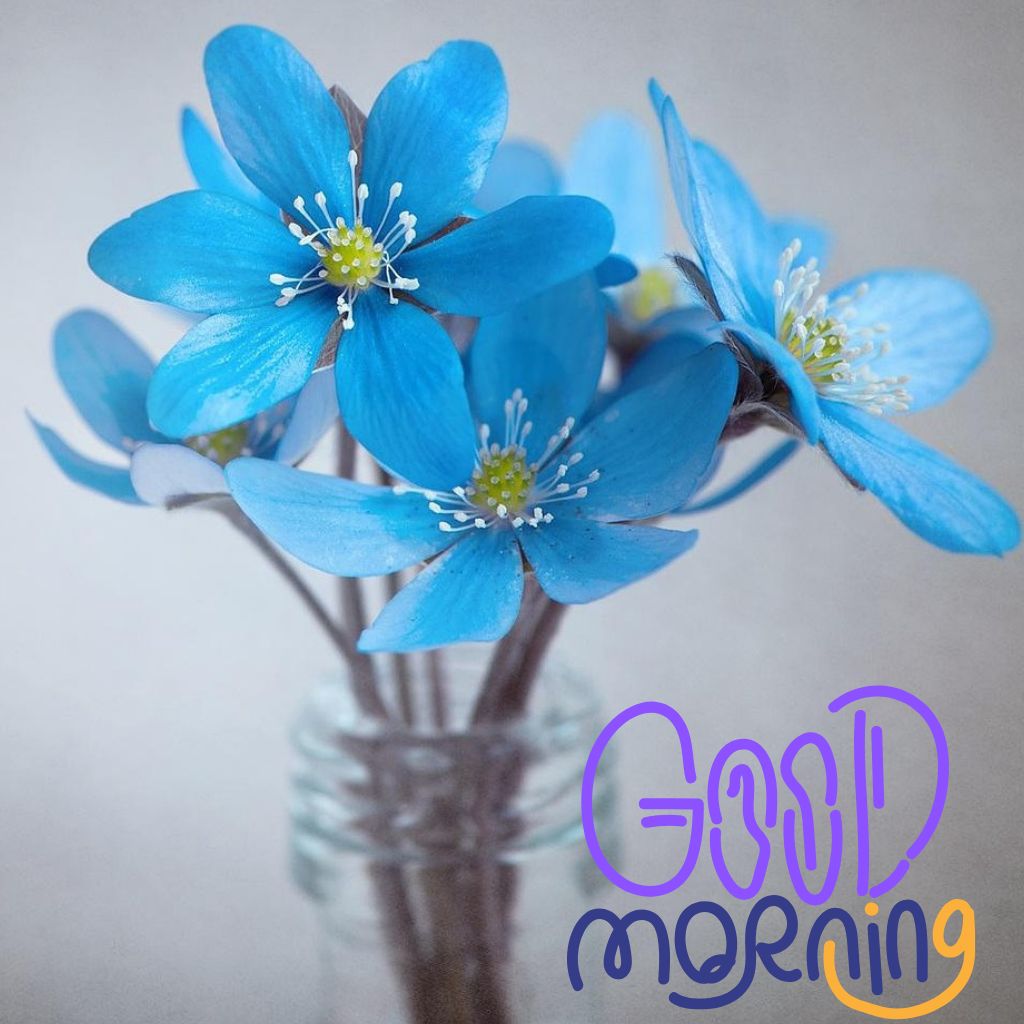 GOOD MORNING IMAGE WITH BEAUTIFUL BLUE FLOWER IN A GLASS JAR